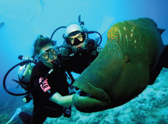 Bodrum Underwater Diving Tour