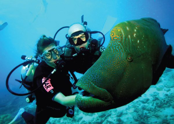 Bodrum Underwater Diving Tour